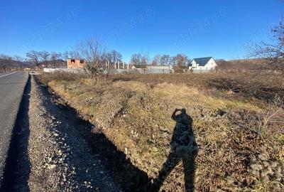 Teren de 4500 mp, în Speranța - 3