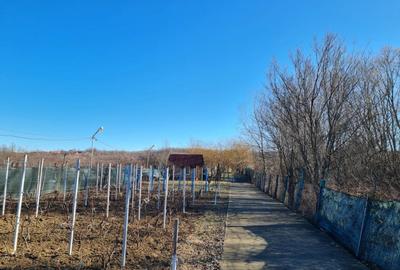 Casa / Vila si teren in Curtisoara, ideala pentru pensiune /casa de vacanta - 7