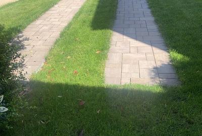 Casă cu 4 camere cu Teren 176 Mp în Sărari - 2