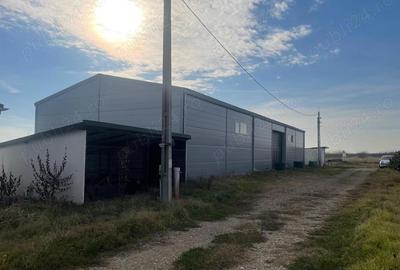 Teren de 370000 mp, în Pietroasele - 2