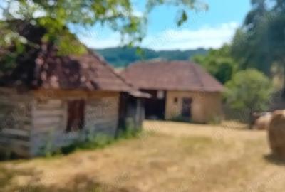 Se vinde casa batraneasca in zona de munte Se vinde casa batraneasca in zona de munte - 6