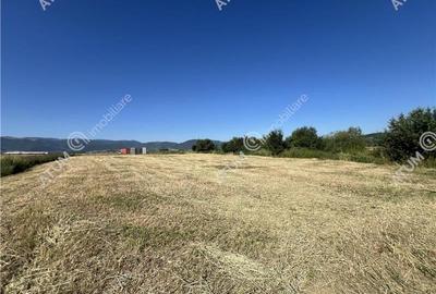 Teren extravilan de 10400 mp cu 2 deschideri in Cristian zona Serelor - 5