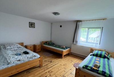 Cabana de 210mp, 2600 mp teren, in Rachitele - 9