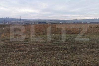 Teren de 5900 mp, în Pătrăuți - 4