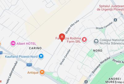 Casă individuală cu 5 camere cu Canalizare în Albert - 17