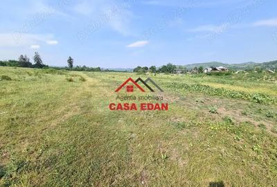 Teren intravilan in Campina, 7500mp--35e - 13
