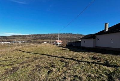 Teren Construcții intravilan de 2800 mp, în Ragla - 1