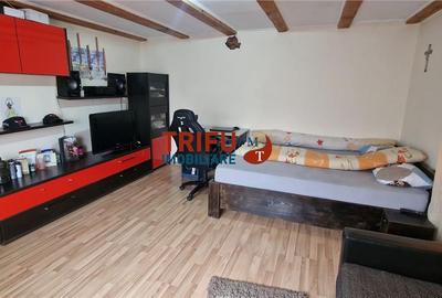 Casă cu 2 camere cu Teren 437 Mp în Ighiu - 2