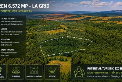 Teren Construcții intravilan de 6572 mp, în Grid - 2