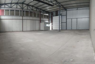 Hala industriala depozitare/productie, zona Grivitei-Dedeman, 230mp - 1
