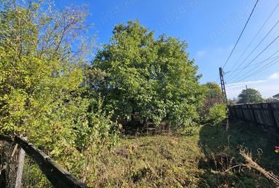 Casa cu teren Conduratu la 4 km de Mizil - 1