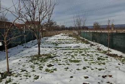 Casă în Vadu Crișului