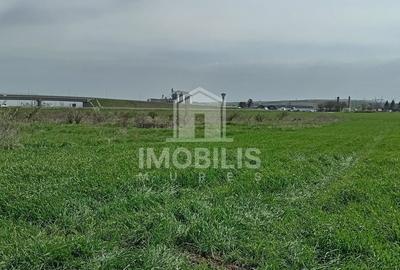 !!OPORTUNITATE DE INVESTIȚIE!! Teren Zona Ungheni | 44376 mp - 6