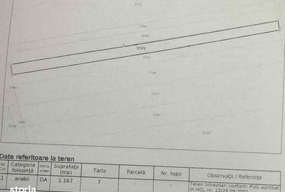 Spațiu comercial, în Comana - 3