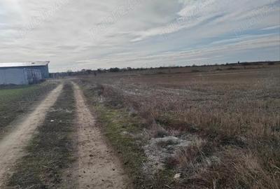 Teren de vanzare intravilan - 2