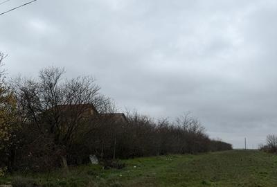 Teren de 5014 mp, în Afumați - 2