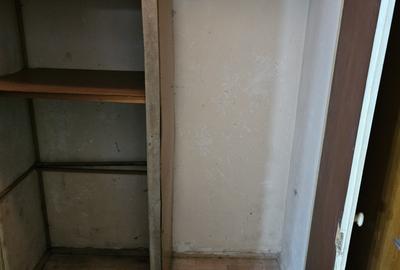 Titan-aleea Barajul Cucuteni - 9