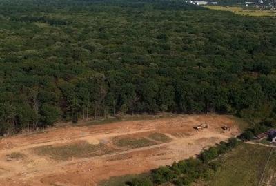 Ideal Forest -vindem LOT 31 - 716 m2 - 7