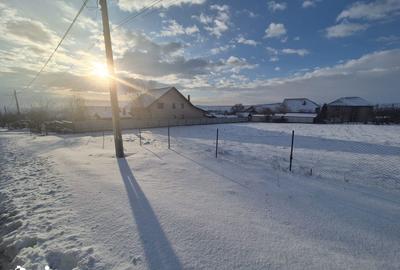 Teren de 1000 mp, în Șcheia - 3