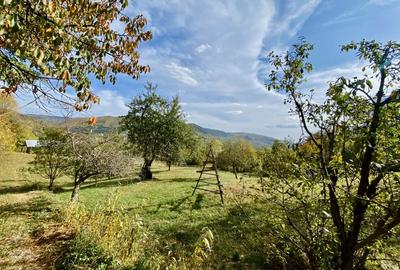 Teren retras panoramic Valea Doftanei 1350 mp panta lina, cu utilitati - 3
