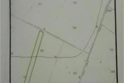 Teren de 12490 mp, în Catane - 2