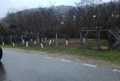 Casă cu 3 camere cu Teren 2800 Mp în Central - 3