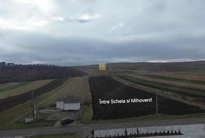 Teren Intravilan 14066 mp 1,4 hectare Suceava Mihoveni - 11