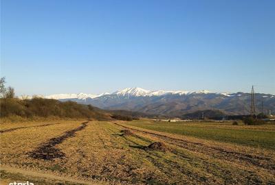 Spațiu comercial, în Central - 8