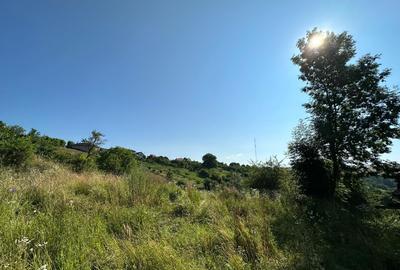 Teren de vanzare in Feleac, Intravilan - 4