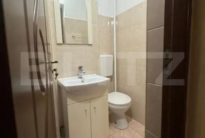 Apartament cu 3 camere decomandat în Cetate - 11