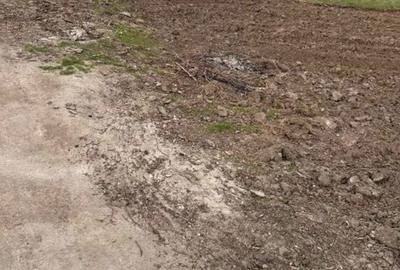 Teren de 1437 mp, în Berceni - 4