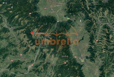 Teren Construcții intravilan de 34201 mp, în Vărșag - 4