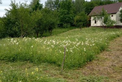 Teren intravilan Drajna 4062mp - 15