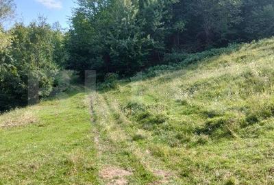 Spațiu comercial, în Poiana Ampoiului - 5