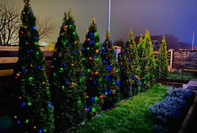 Vila individuala, teren 340 mp, Strada Tuberozelor, Comuna Berceni, If - 6