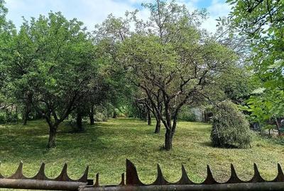 Teren de 1223 mp, în Central