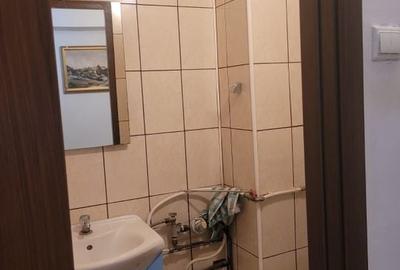 Apartament 3 camere de vanzare Crangasi - 10