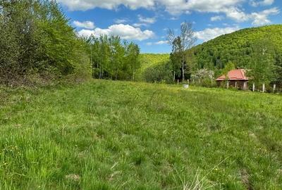 Spațiu comercial, în Negreni - 5