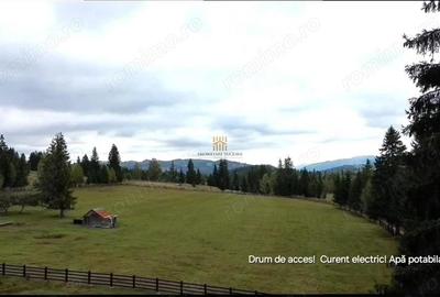 Teren de 16813 mp, în Fundu Moldovei - 7