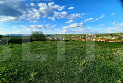 Teren cu suprafata de 800 mp, PUZ in lucru, zona de case, Bo - 3