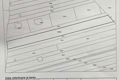 Teren de 2020 mp, în Săucești - 3