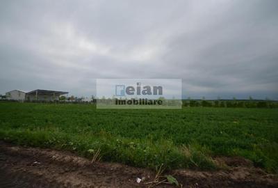 Dascalu - Teren 7ha, Deschidere 130 Ml La Dj 200, Utilitati Investitie