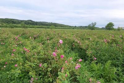 Spațiu comercial, în Central - 8