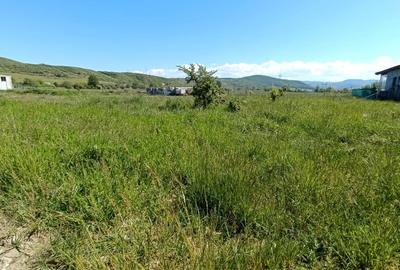 Teren Construcții intravilan de 453 mp, în Sebeș - 1
