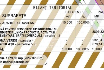 10.000 MP ZONA MIXTA - servicii, productie, activitati complementare - 4
