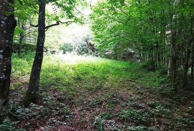 Teren de 900 mp, în Văliug - 18
