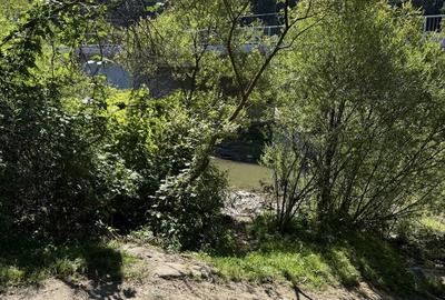 Spațiu comercial, în Tulgheș - 2