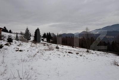 Teren de 10746 mp, în Fundu Moldovei - 4