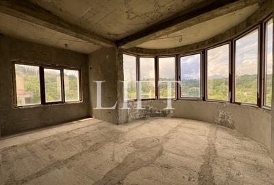 Casă individuală cu 8 camere cu Teren 2308 Mp în Sohodol - 12