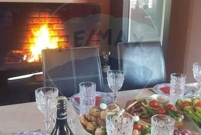 Casa / Vila cu 5 camere de vanzare in zona Brestei - 23